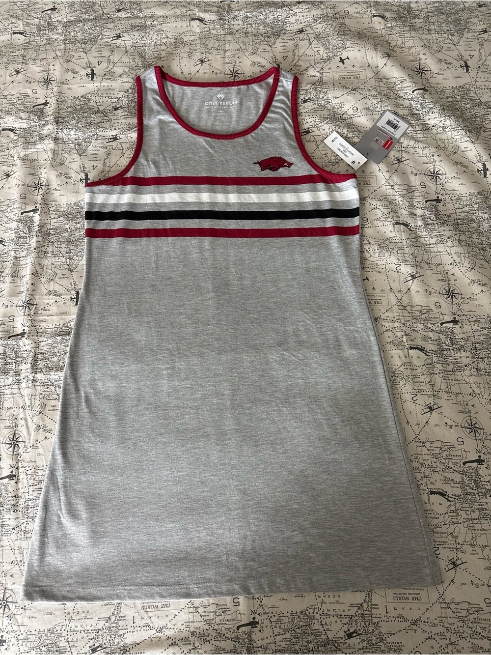 Colosseum Gray and Red Striped Tank Mini Dress